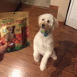 Meet your Posher, Nikki